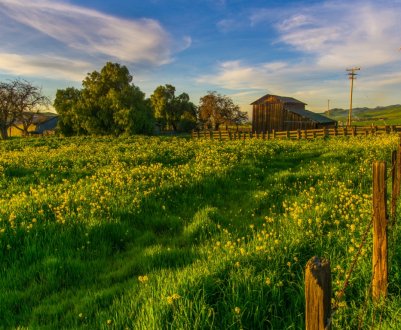 Найдорожча земля — на батьківщині Котляревського