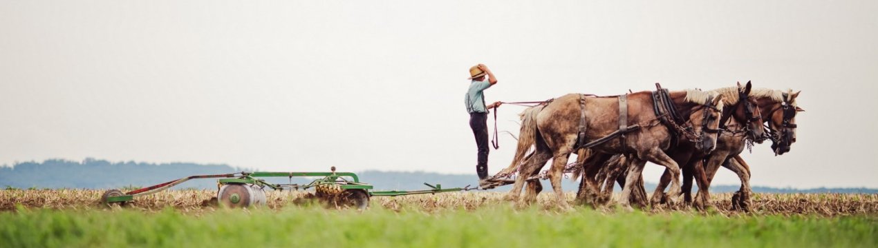 Будь рук не вистачає в агросекторі