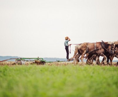 Будь рук не вистачає в агросекторі