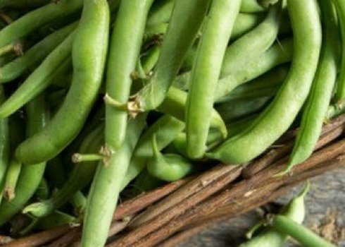 Чим відрізняється спаржева квасоля від стручкової
