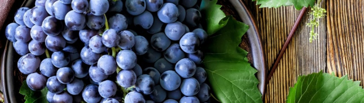 Як доглядати за виноградом в середній смузі