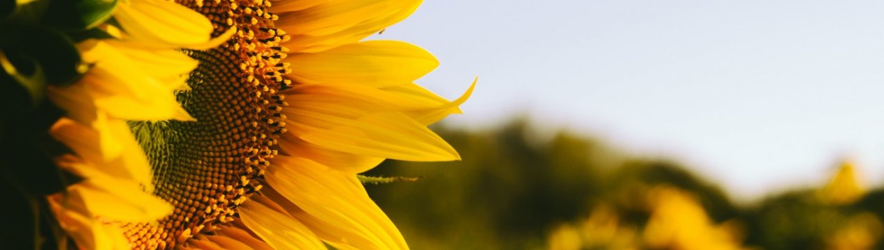 В Україні змінився клімат