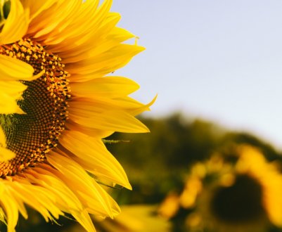 В Україні змінився клімат