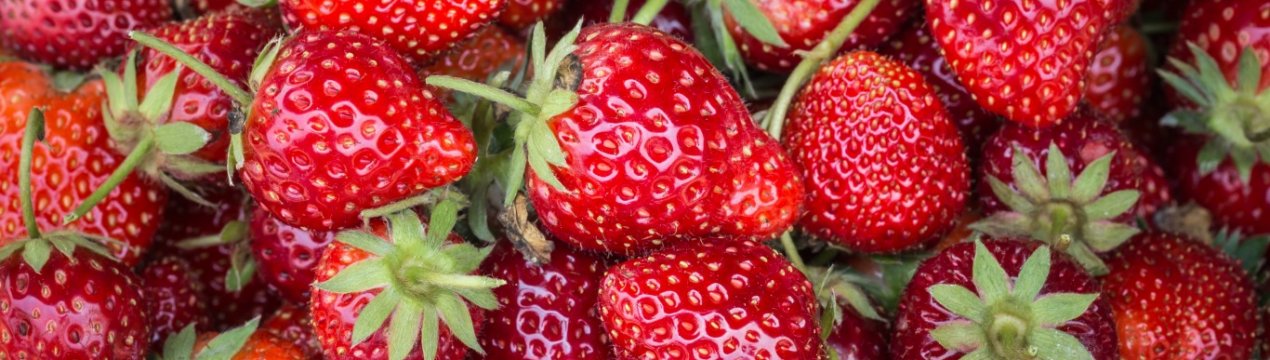 Яку полуницю люблять європейці?