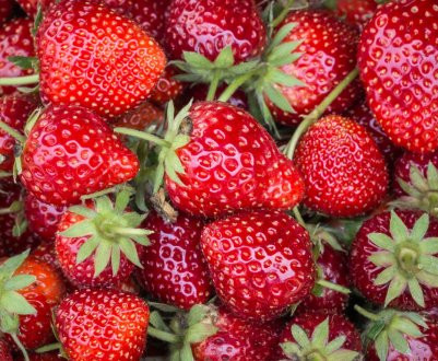 Яку полуницю люблять європейці?