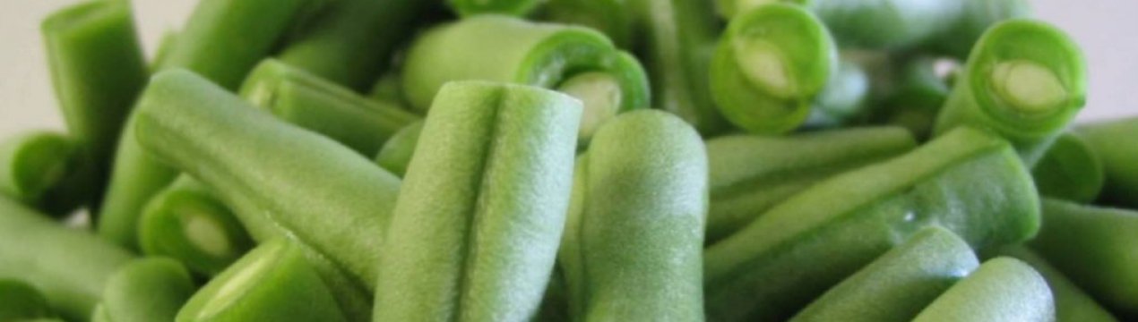 Вирощування спаржевої квасолі: посадка і догляд