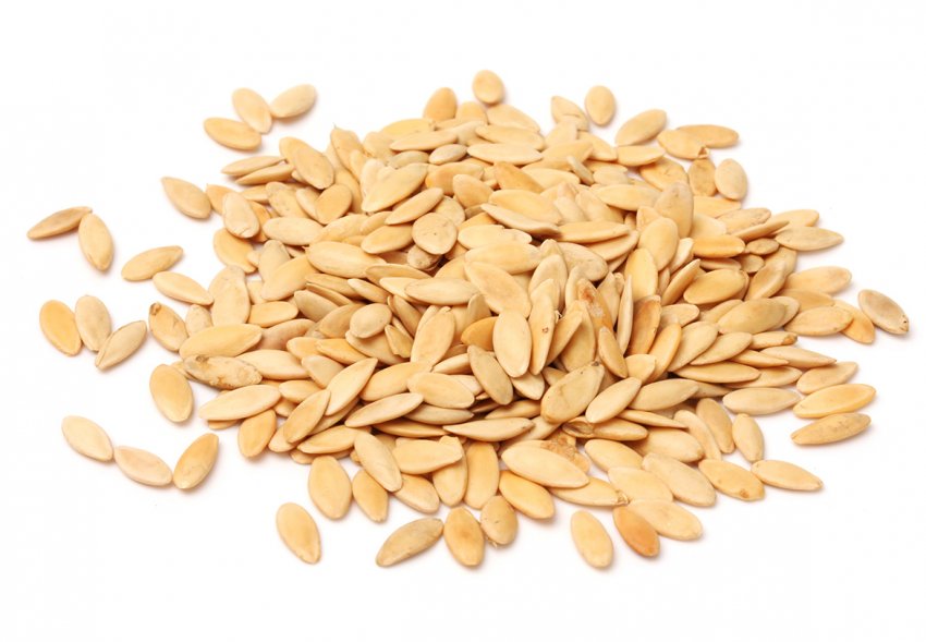 Насіння огірків