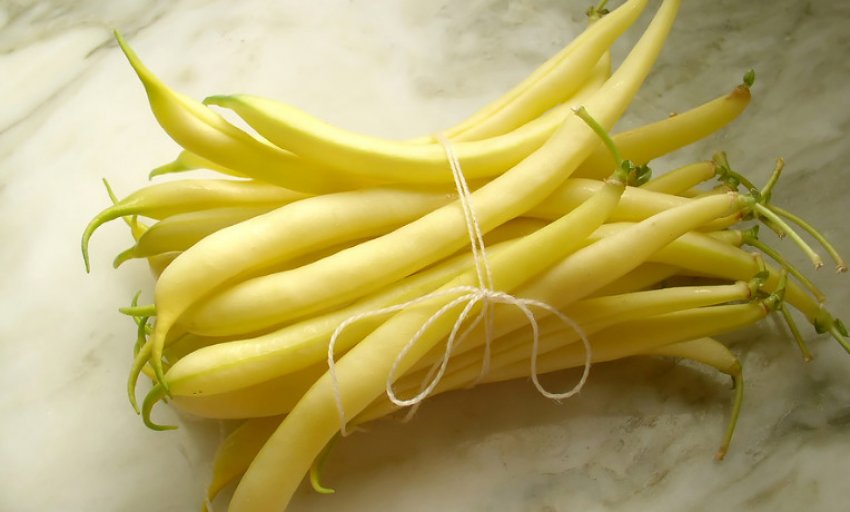 Квасоля спаржева Герда