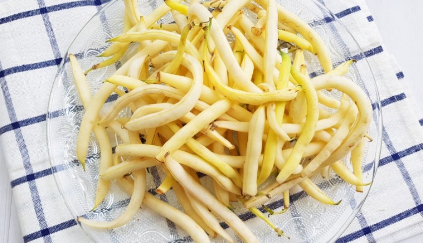 Квасоля спаржева Лаура