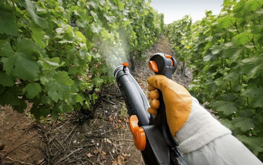 Обприскування винограду
