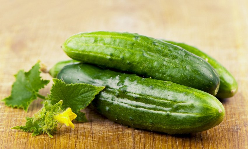 Огірки Мурашка F1 Огірки Мурашка F1