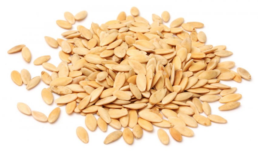 Насіння огірків Насіння огірків