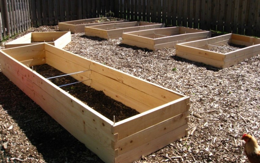 ТПриподнятая тепла грядка ТПриподнятая тепла грядка