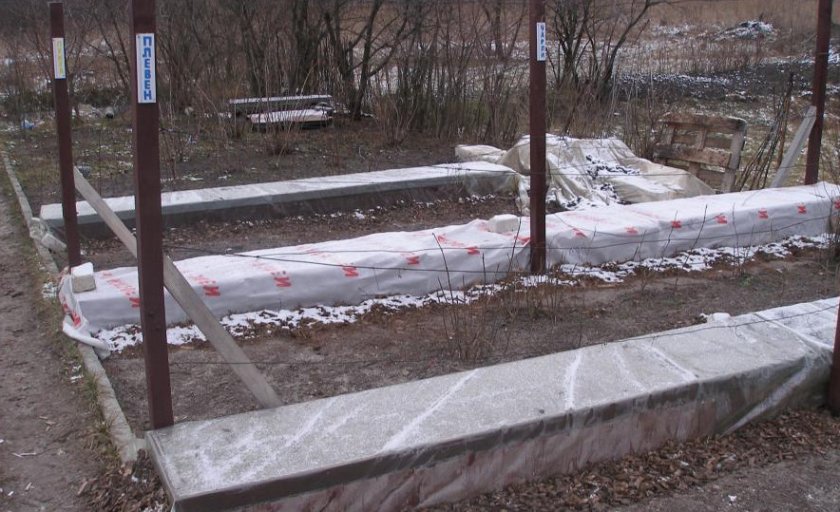 Укрытие винограда Укрытие винограда