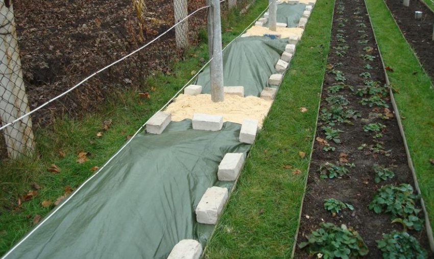 Укриття винограду плівкою