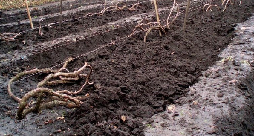 Укриття землею