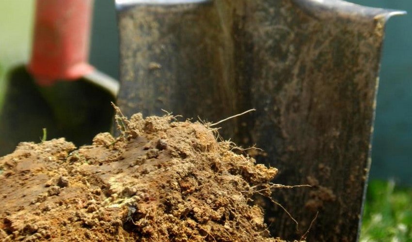 Догляд за ґрунтом