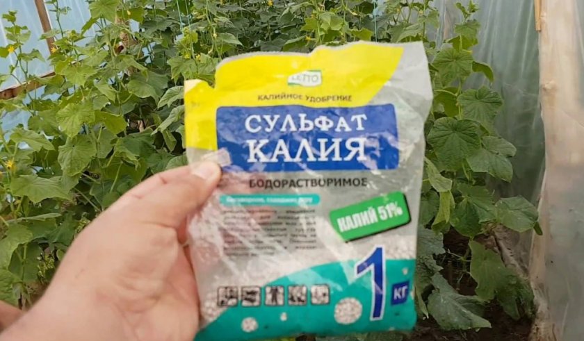 Калийная подкормка Калийная подкормка