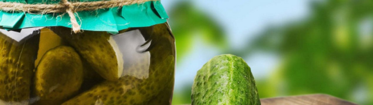почему при консервировании огурцов образуется белый осадок. Смотреть фото почему при консервировании огурцов образуется белый осадок. Смотреть картинку почему при консервировании огурцов образуется белый осадок. Картинка про почему при консервировании огурцов образуется белый осадок. Фото почему при консервировании огурцов образуется белый осадок