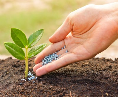 Недобрі вісті з полів