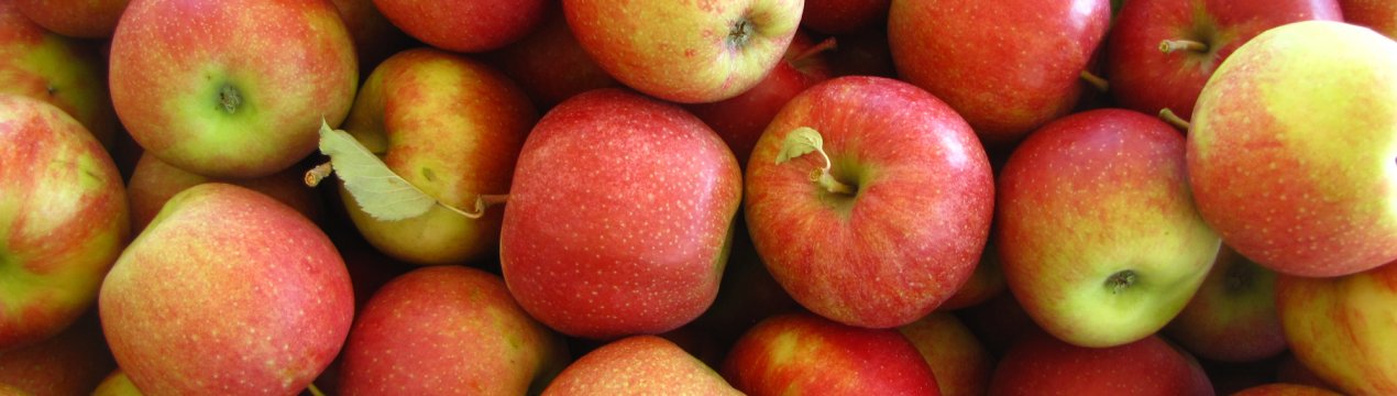 Яблучний цінопад