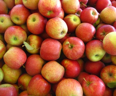 Яблучний цінопад
