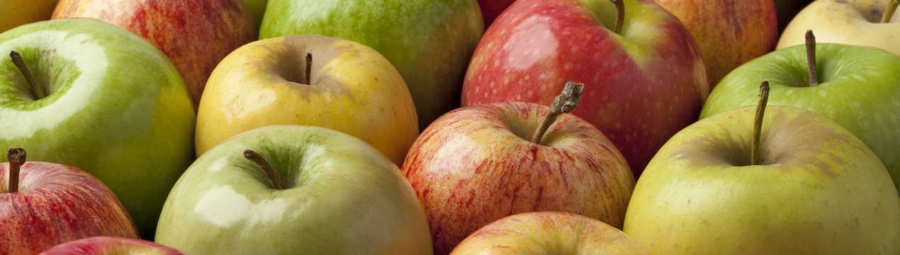 «Віддам в хороші руки дві тонни яблук»