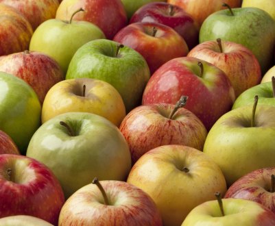 «Віддам в хороші руки дві тонни яблук»