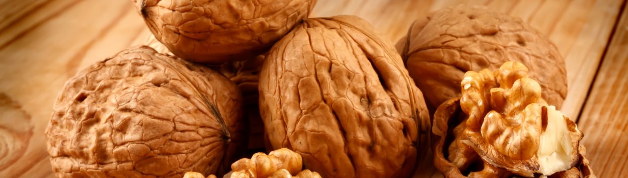 Український горіх — поза конкуренцією