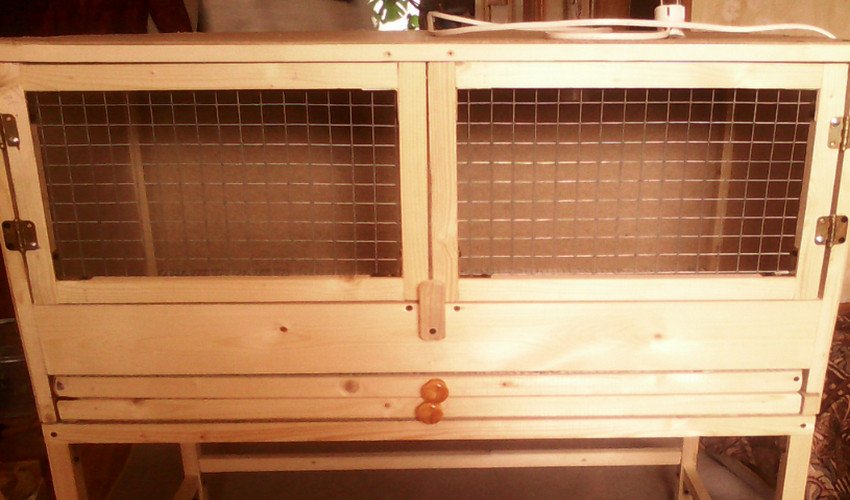 Брудер для курчат Брудер для курчат