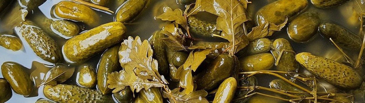 почему огурцы становятся пустыми после засолки. Смотреть фото почему огурцы становятся пустыми после засолки. Смотреть картинку почему огурцы становятся пустыми после засолки. Картинка про почему огурцы становятся пустыми после засолки. Фото почему огурцы становятся пустыми после засолки