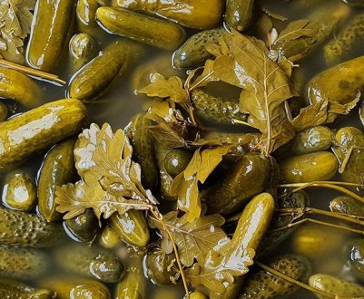 Чому огірки при засолюванні стають порожніми всередині?