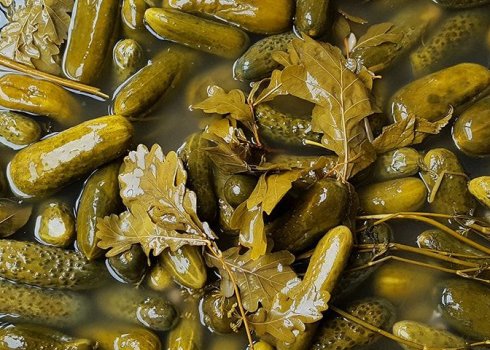 Чому огірки при засолюванні стають порожніми всередині?