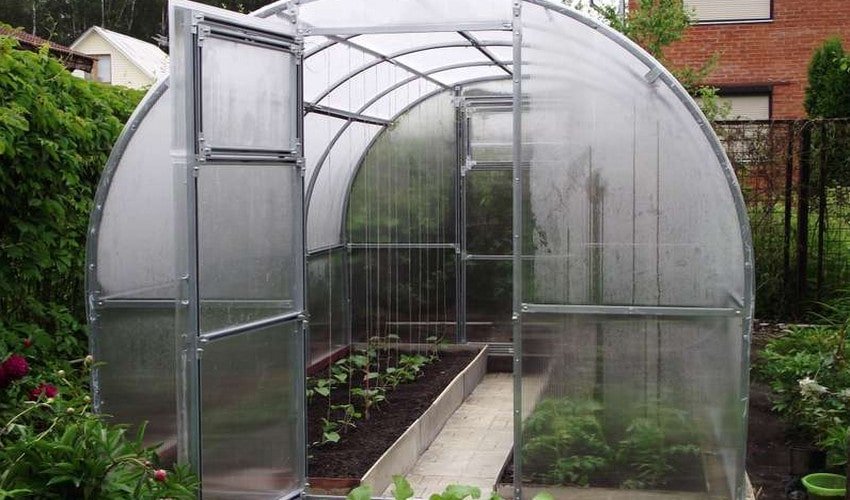 Дезінфекція теплиці Дезінфекція теплиці