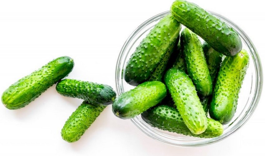 Огірки Клавдія F1