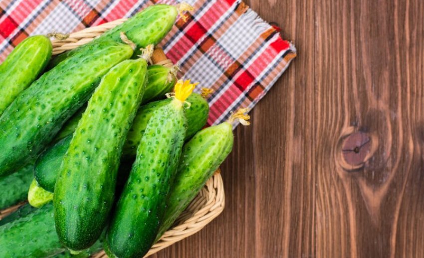 Огірок христина Огірок христина