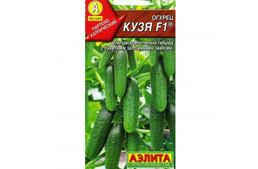 Сорт огірків кузя