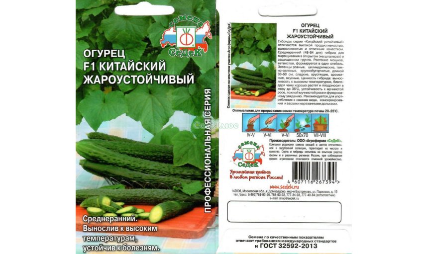 Сорт огірків китайський жаростійкий