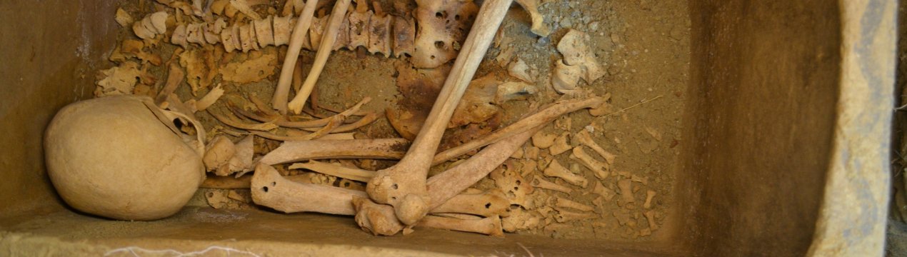 «Родючі» поля дарують грецьким фермерам урожай з гробниць і пам'ятників