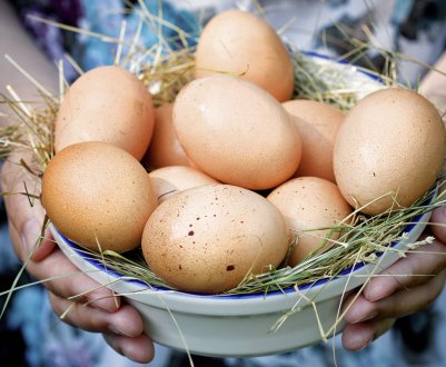 Калорійність, вага і хімічний склад курячого яйця