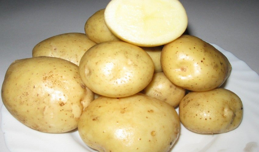 Картопля Адретта