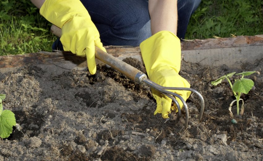 Розпушування грунту Розпушування грунту