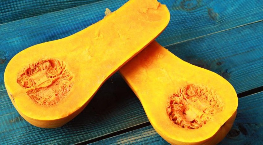 Мускатний гарбуз Мускатний гарбуз