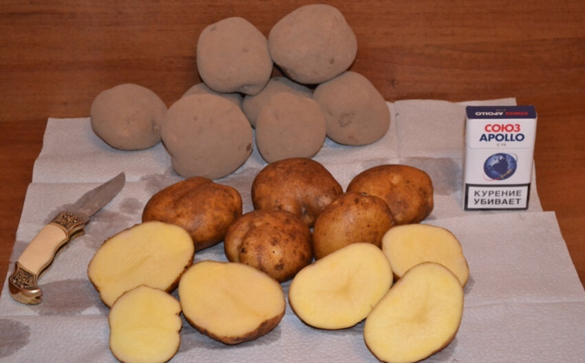 Картоплю сорту атлант