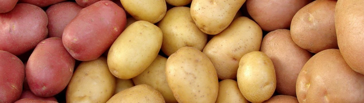 Средние Сорта Картофеля Фото И Описание