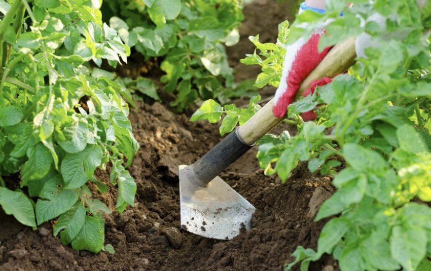 Підгортання