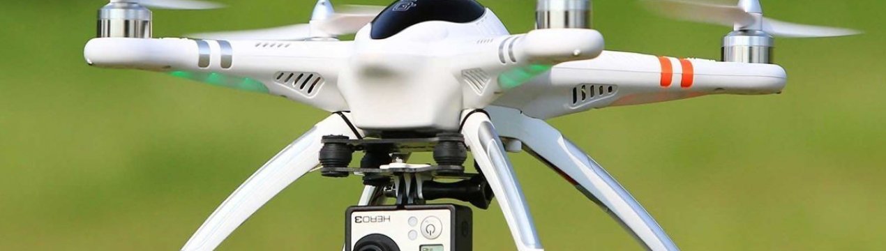 Німецькі дрони відкриють полювання проти диких рознощиків чуми