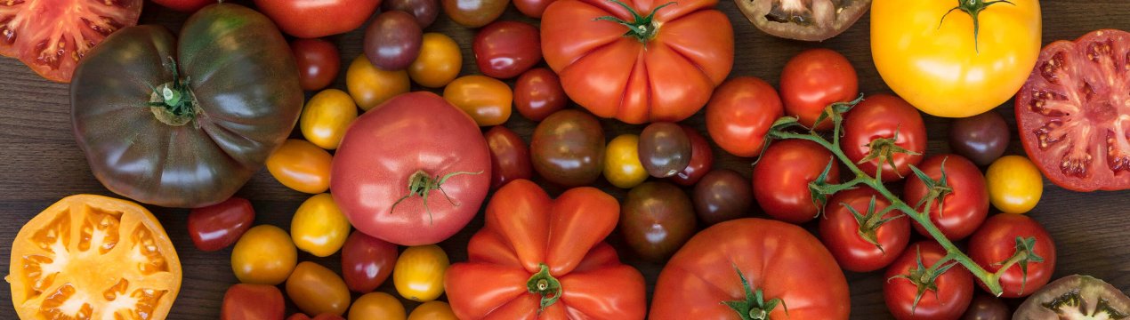 Томатний криза: українські експортери б'ють на сполох