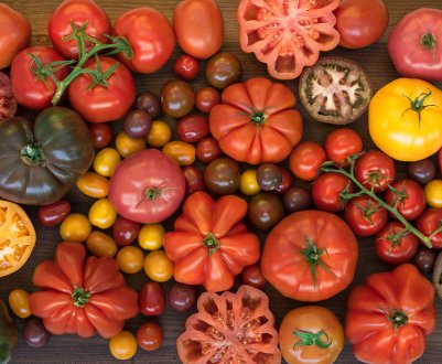 Томатний криза: українські експортери б'ють на сполох