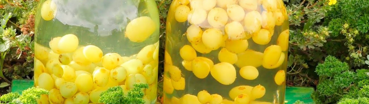 Рецепт белого винограда компот. . Рецепт белого винограда компот фото. Рецепт белого винограда компот-. картинка Рецепт белого винограда компот. картинка . Сегодня я расскажу, как приготовить компот из белого винограда на зиму. Напиток получается очень ароматным и вкусным. Цвет у него не такой насыщенный, как из более ярких сортов, но всё же имеет некий окрас.